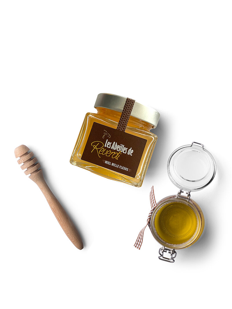 Projet S'Quisse - Les Abeilles de Reverdi