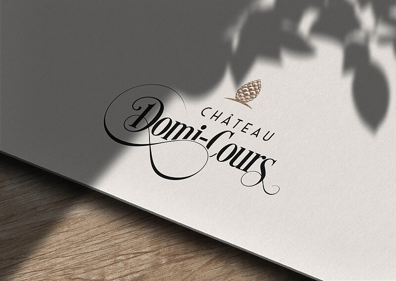 Projet S'Quisse - Château Domi-Cours